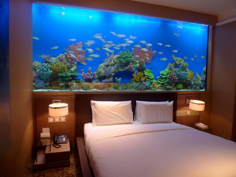 Best Ideas To Arrange An Aquarium Or Fish Tank In Home Live Enhanced