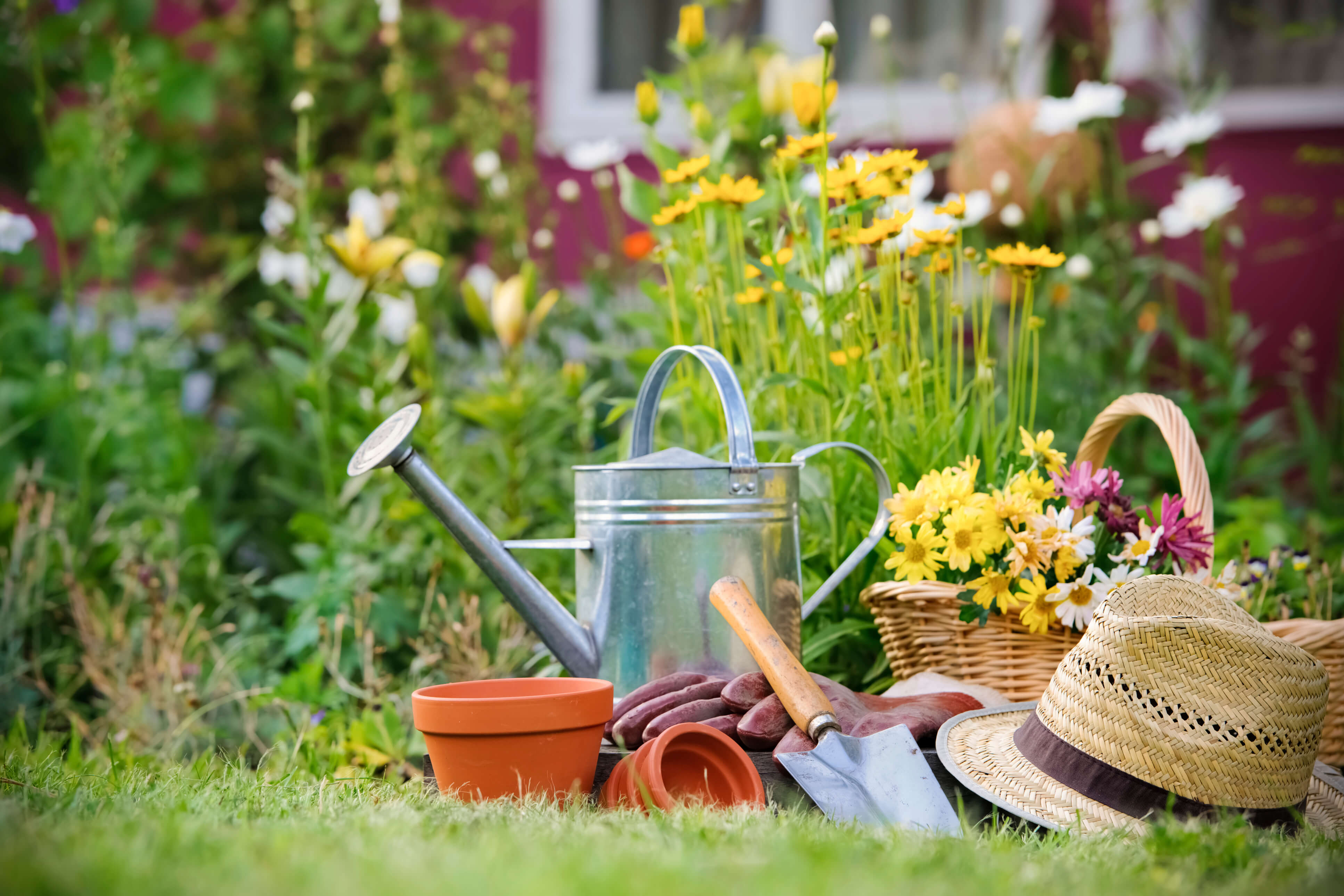 Your Ultimate Guide To Garden Watering Live Enhanced