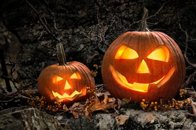 25+ Cute Pumpkin Ideas - Jack O Lantern Designs - Live Enhanced