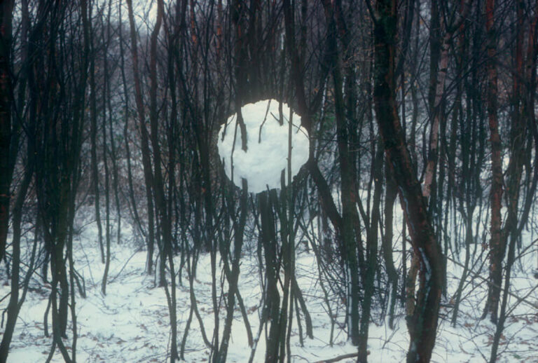 Andy Goldsworthy Art Exploring Breathtaking Works Live Enhanced