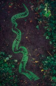 Andy Goldsworthy Art Exploring Breathtaking Works Live Enhanced