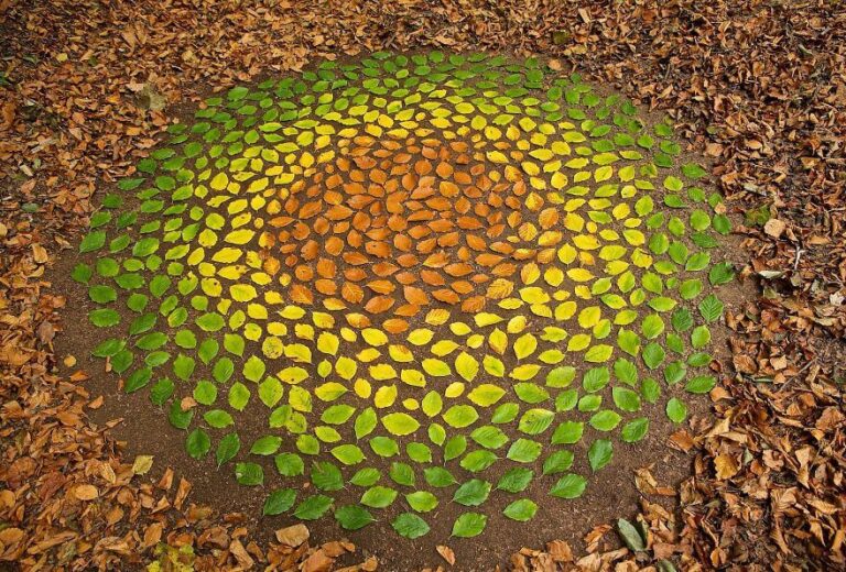 Andy Goldsworthy Art: Exploring 35+ Breathtaking Works - Live Enhanced