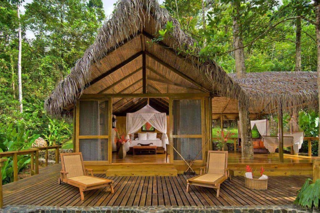 World's Best Top 10 Forest Resort and Lodges - Live Enhanced