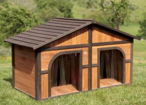 Unique and Fancy Pet House Design You'll Love It - Live Enhanced