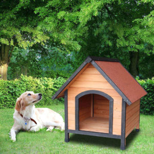 Unique and Fancy Pet House Design You'll Love It - Live Enhanced