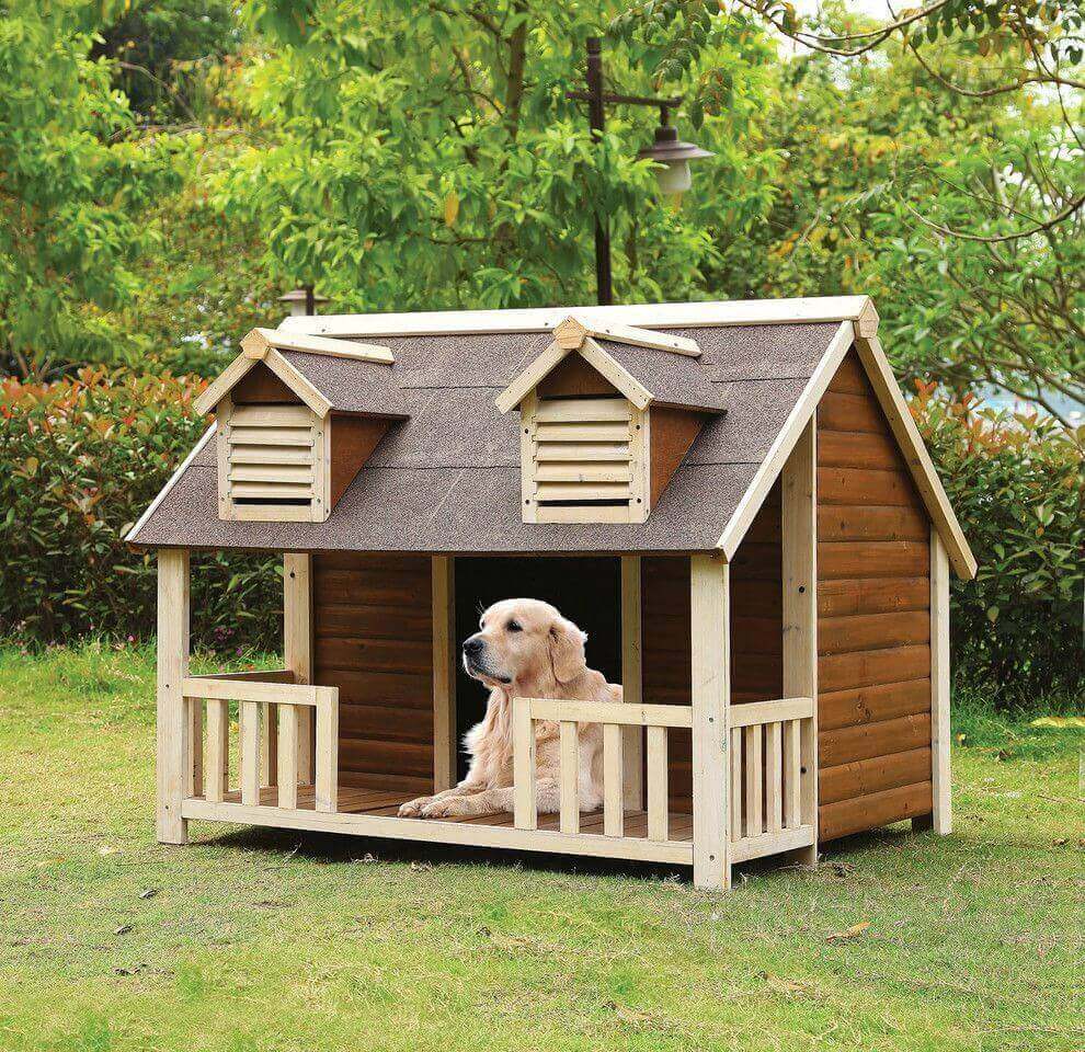 Unique And Fancy Pet House Design You ll Love It Live Enhanced