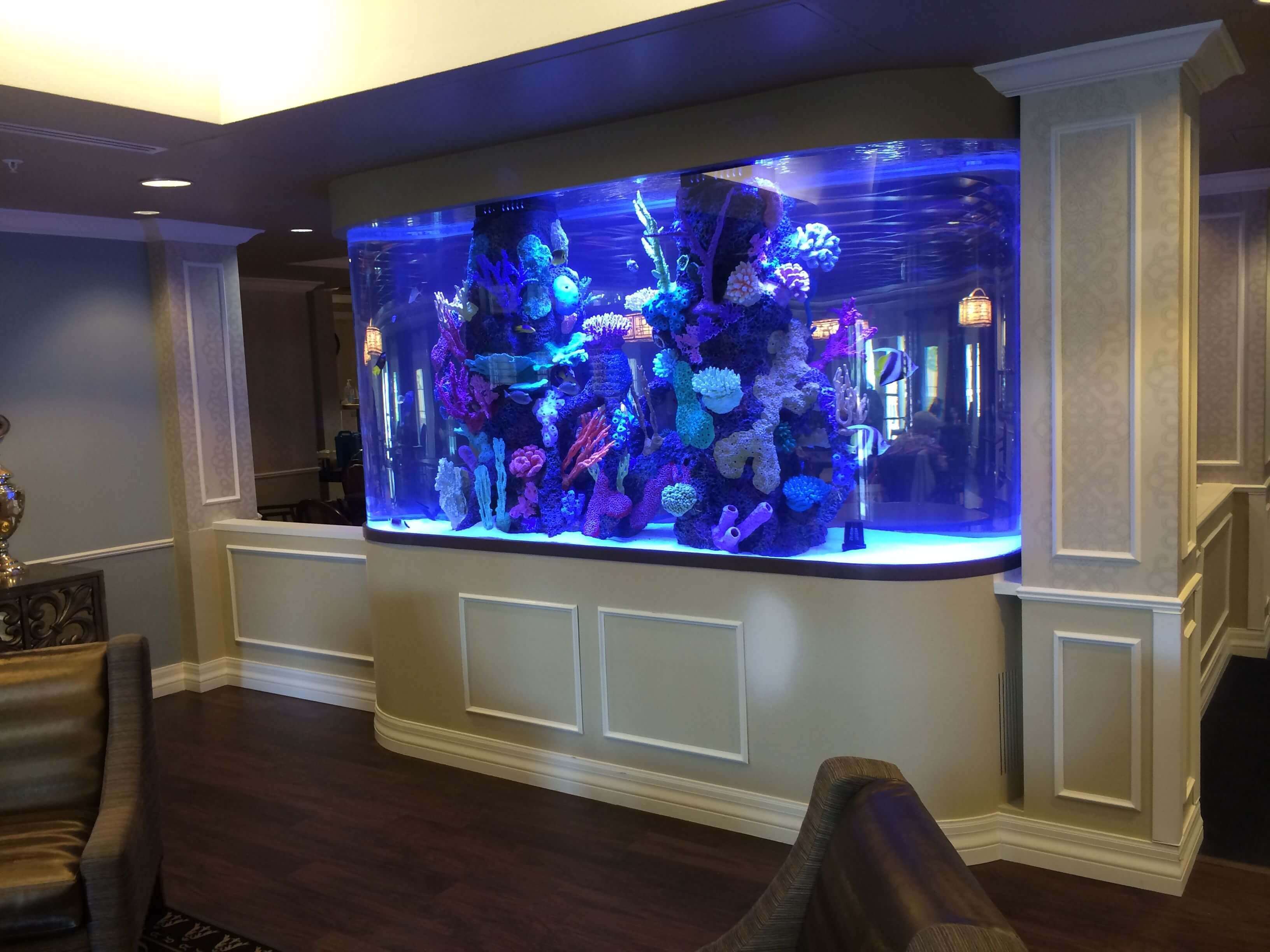 modern fish tank designs for living room