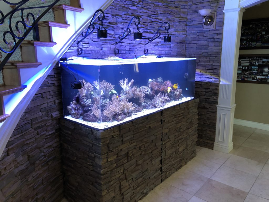 Best Ideas to Arrange an Aquarium or Fish Tank in Home - Live Enhanced
