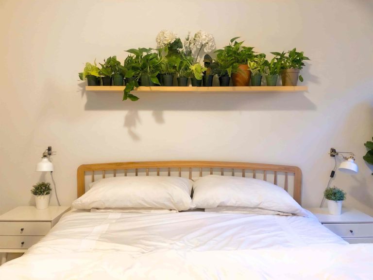 Decorating Bedroom With Plants