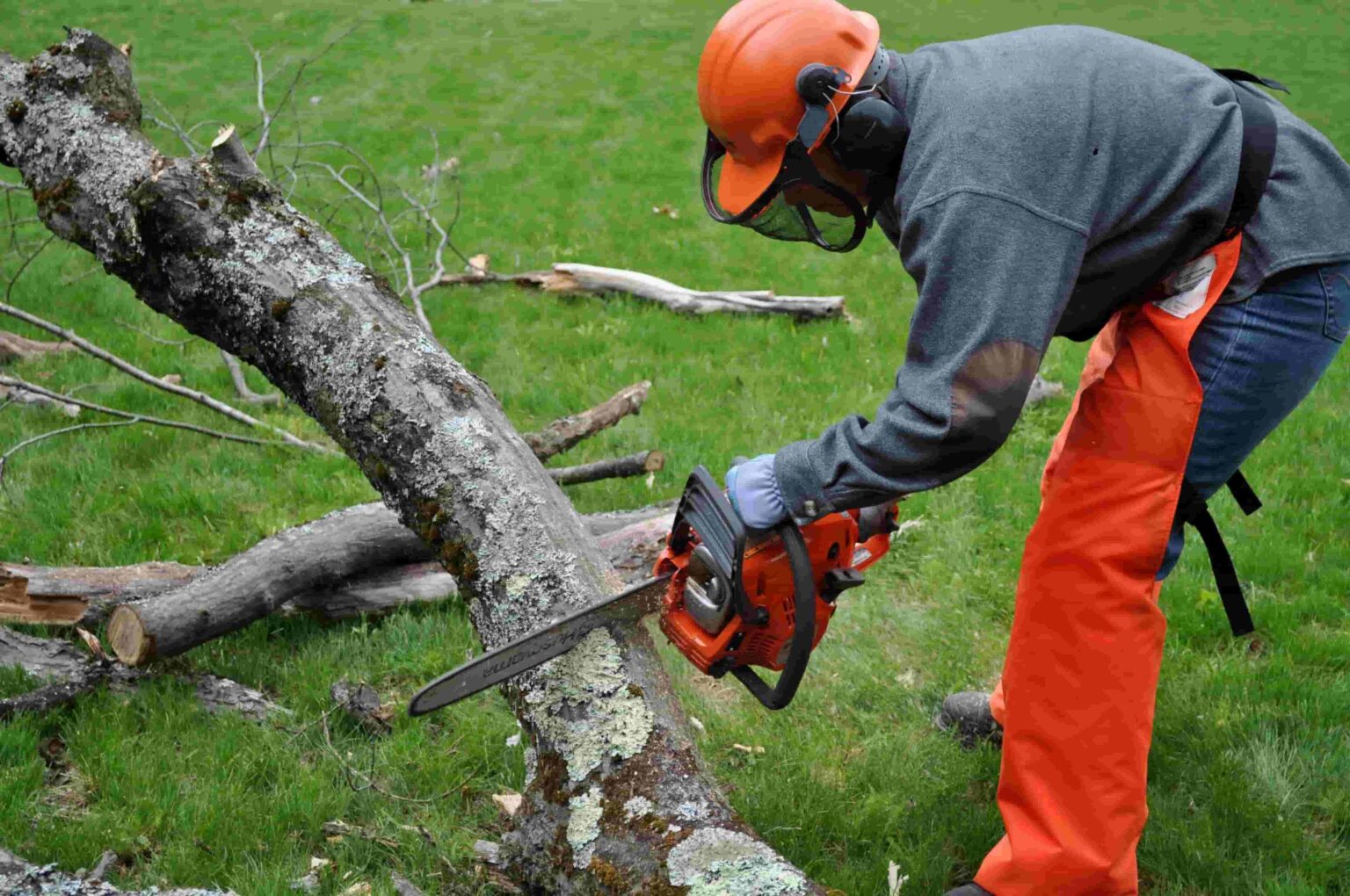 Chainsaw Safety The Perfect Guide Of It Live Enhanced
