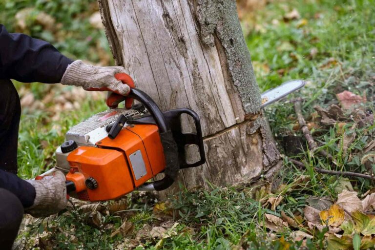 Chainsaw Safety: The Perfect Guide of It - Live Enhanced