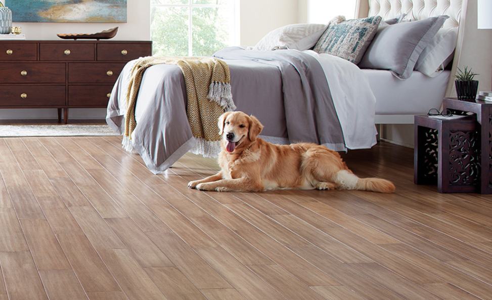 Choose the right flooring for pets