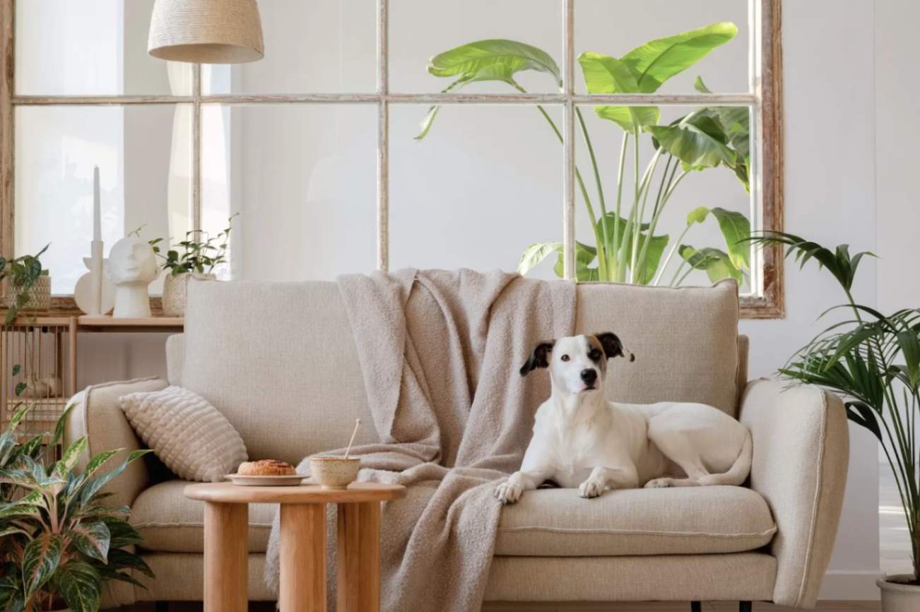 Create cosy and safe spaces for pets