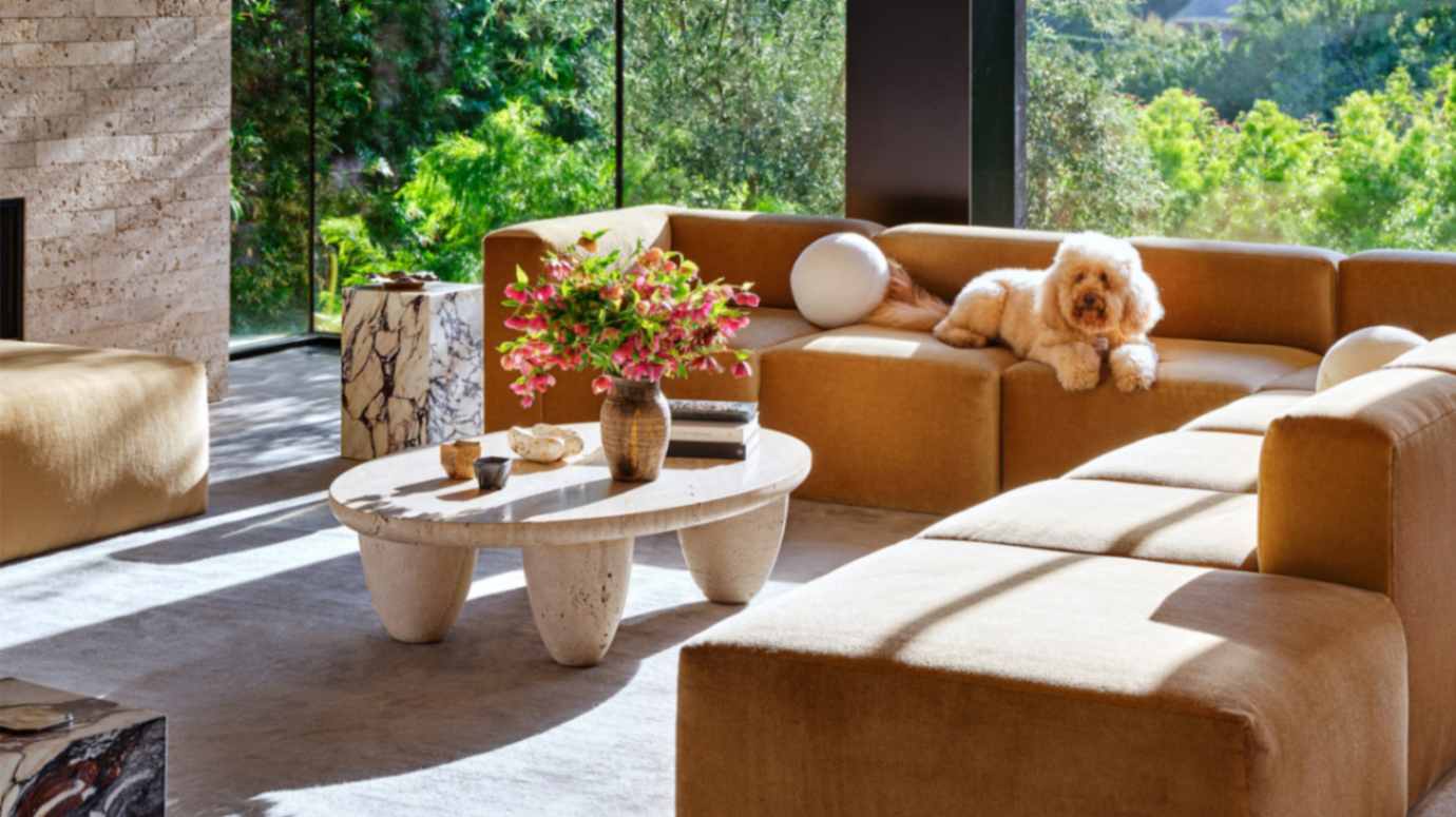 Pet-friendly furniture and decor