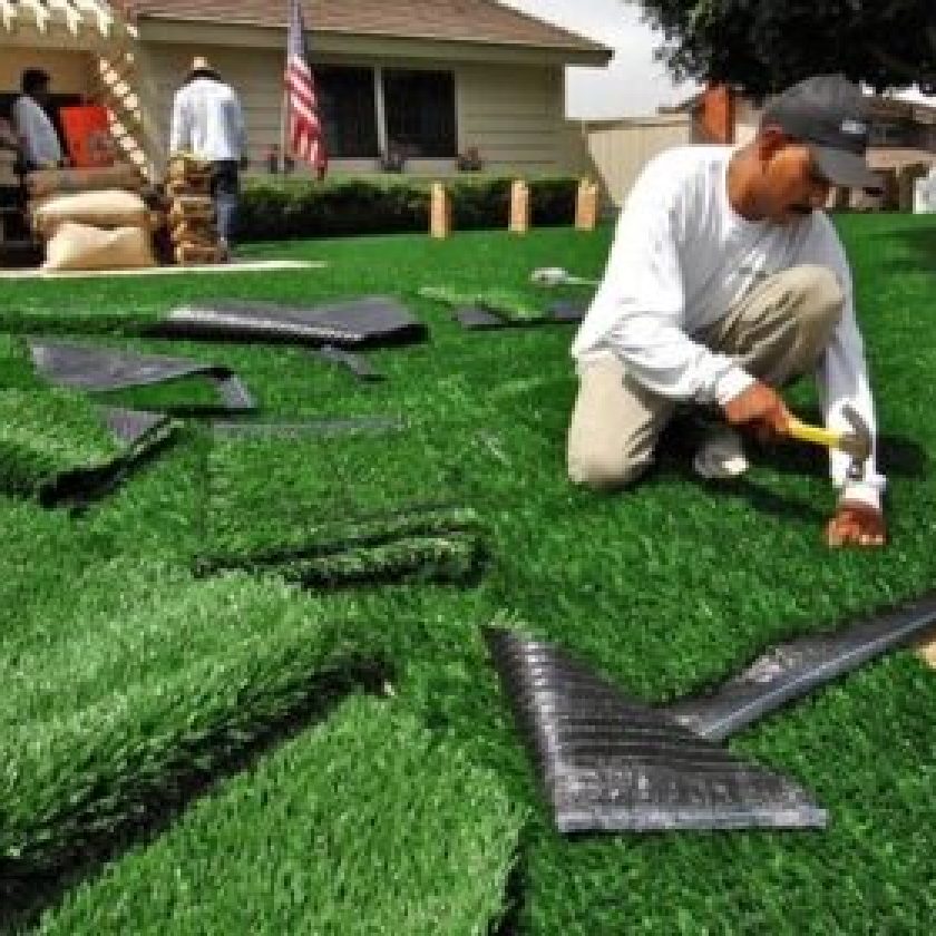 Artificial Grass or Turf