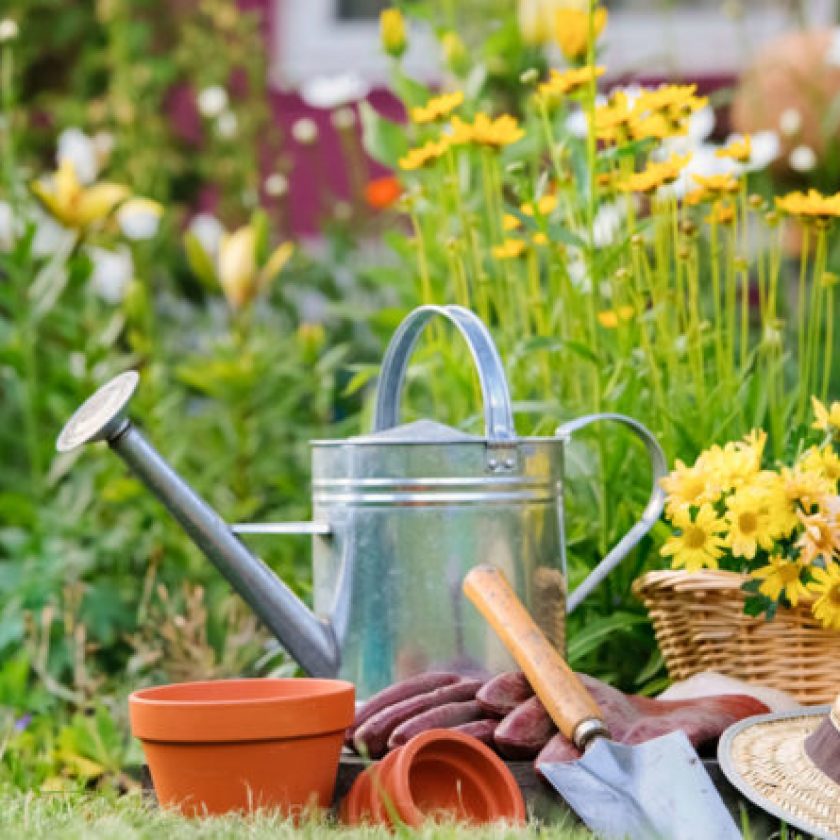 Your Ultimate Guide To Garden Watering - Live Enhanced