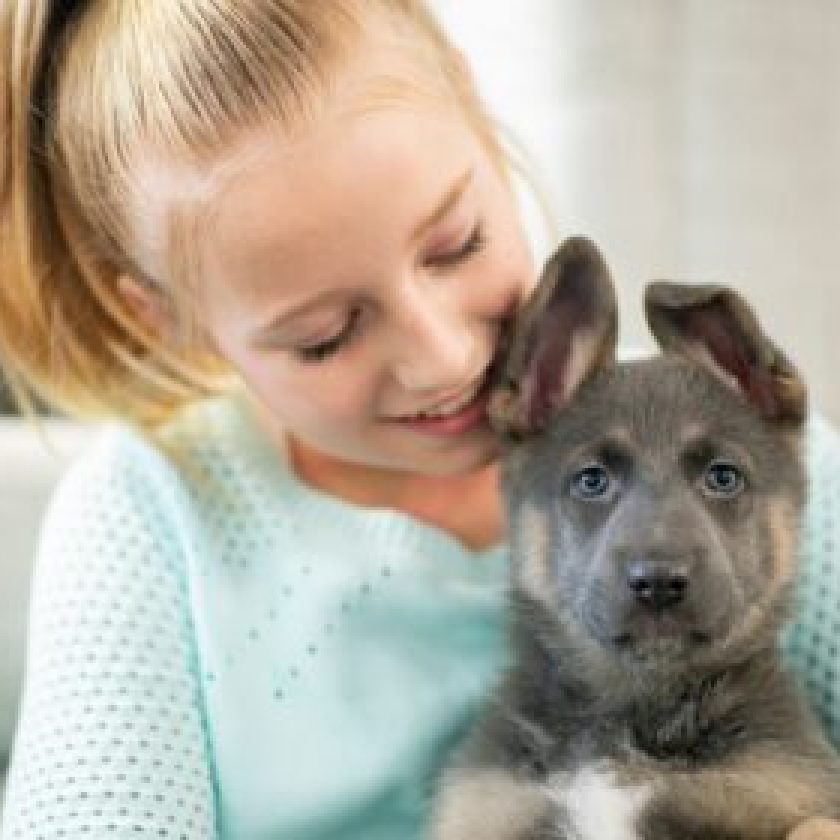 Puppy Care Guide for New Dog Parents